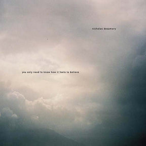 You Only Need To Know How It Feels To Believe (Vinyl) - Apocalypse Vinyl