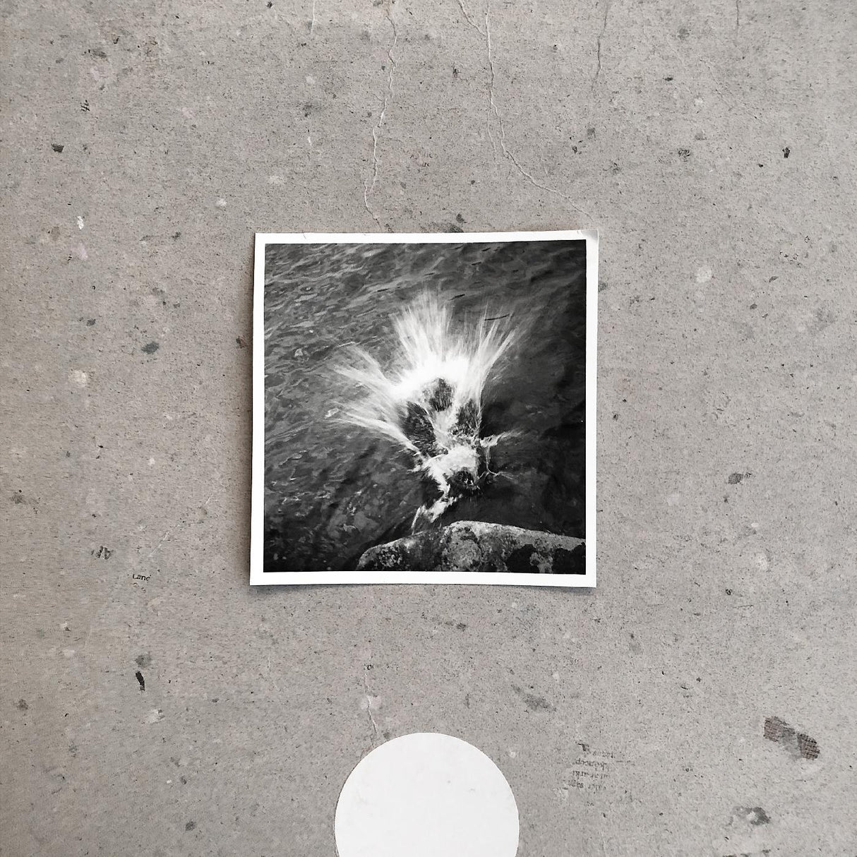 Empty (Vinyl) - Apocalypse Vinyl