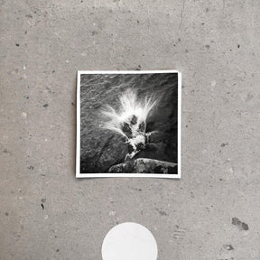 Empty (Vinyl) - Apocalypse Vinyl