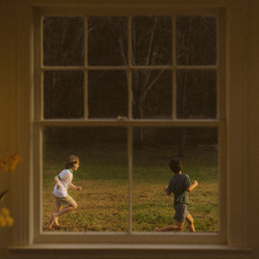 The Great Divide (Indie Exclusive) [Translucent Beer Bottle] [2LP] [Vinyl]