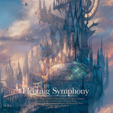 Fleeting Symphony (Vinyl)