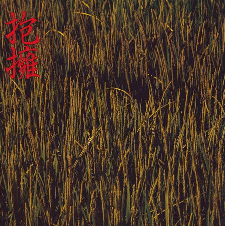 Houyou (抱擁 (Vinyl)