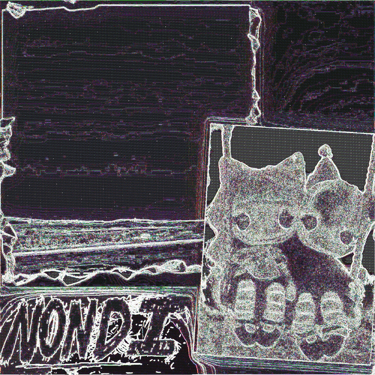 Nondi... [Vinyl]