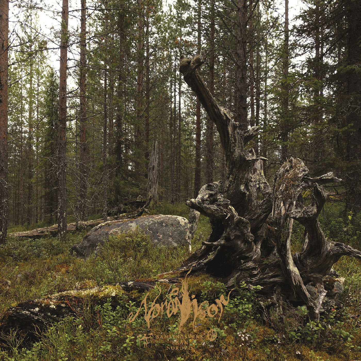 Ett samlingsverk från Nordvis (BLACK & GOLD / BLACK & COPPER VINYL) (Vinyl)