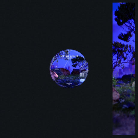 Feel (Vinyl)