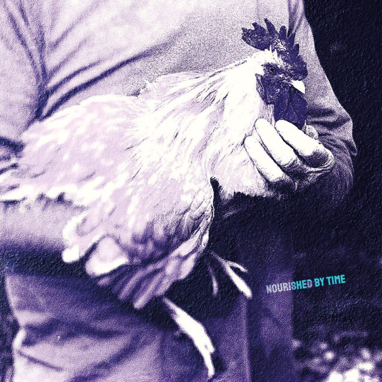 Catching Chickens EP (Vinyl)