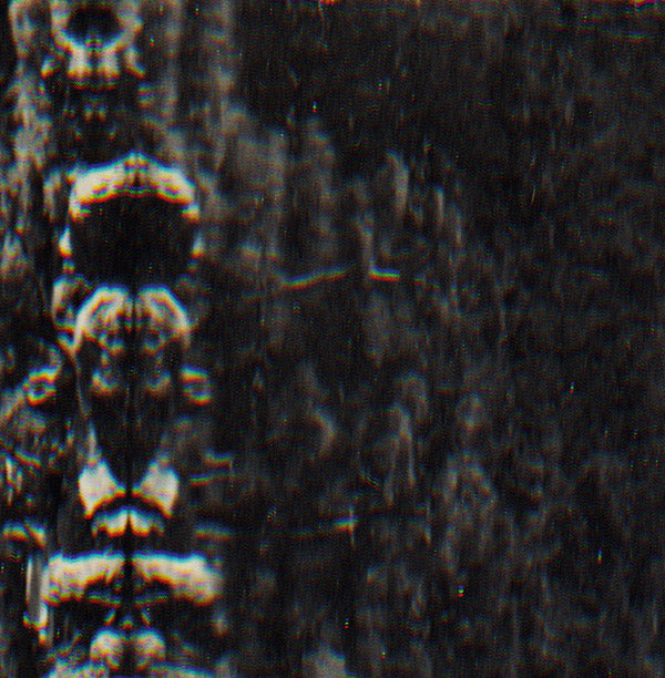 The Forest, The People And The Spirits (Vinyl)