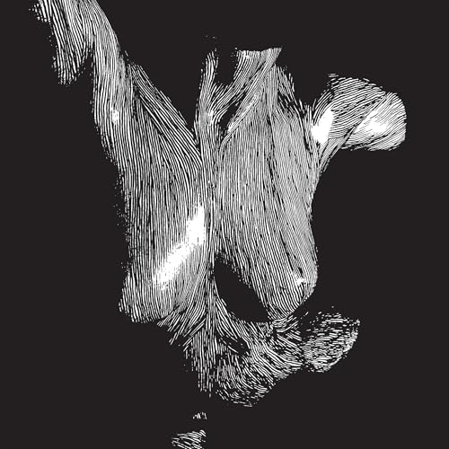 Self Preserved While The Bodies Float Up (15Th Anniversary) [3Lp] (Vinyl)