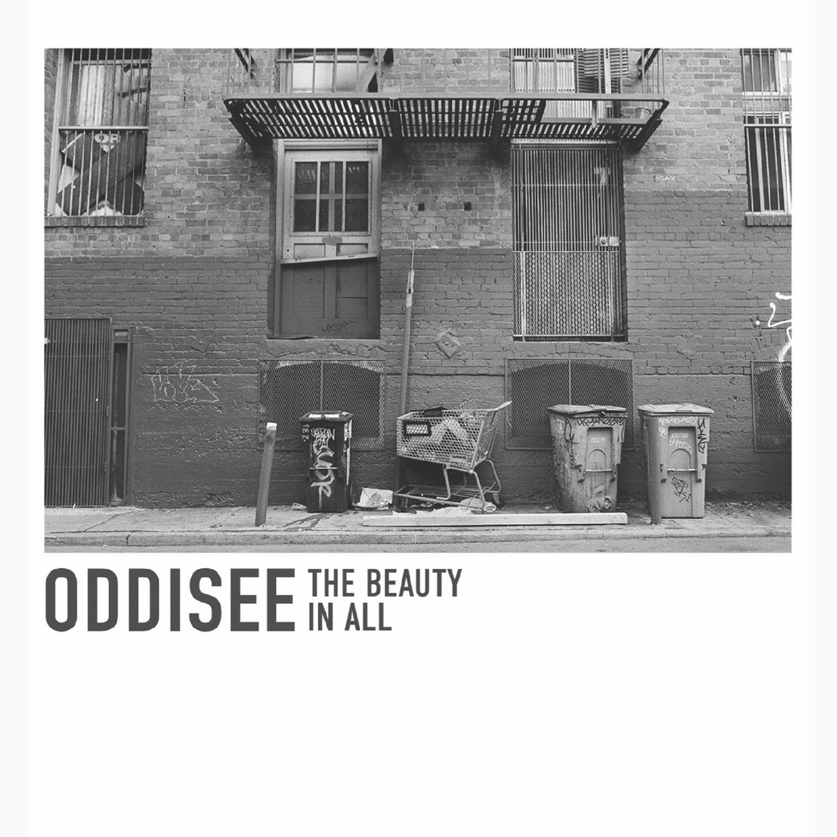 Oddisee La belleza en todo (VINILO BLANCO) [Discos y LP]