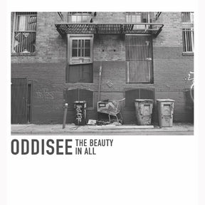 The Beauty In All (WHITE VINYL) (Vinyl) - Apocalypse Vinyl