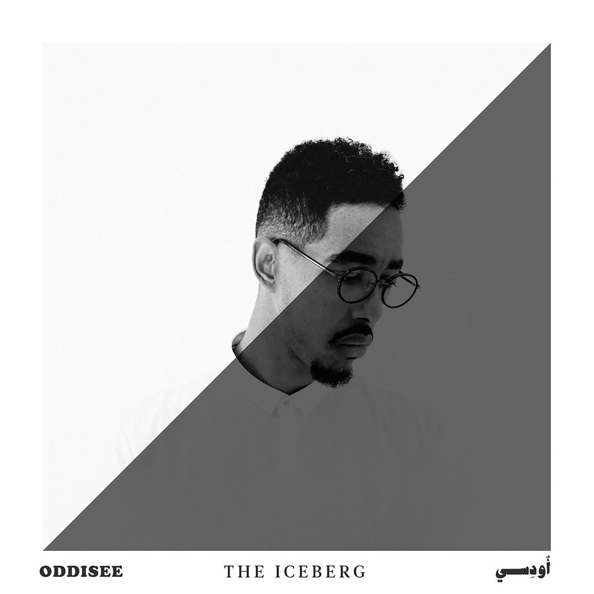 Oddisee The Iceberg (BUTTERFLY SPLATTER VINYL) [唱片 &amp; LPs]