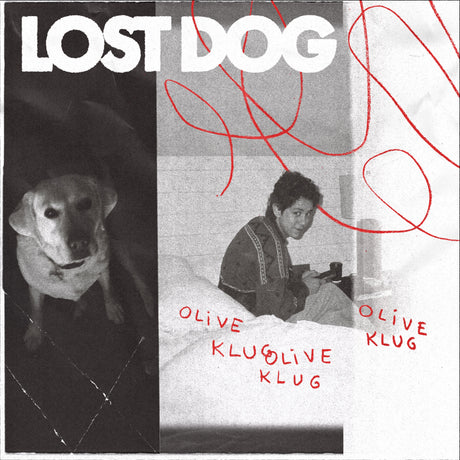 Lost Dog (CD)