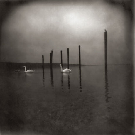 OM - Conference Of The Birds [Vinyl]