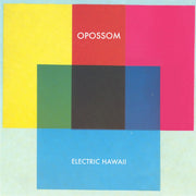 Electric Hawaii (CD)