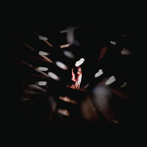 Shadowland (Vinyl) - Apocalypse Vinyl