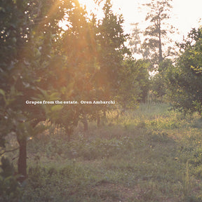 Grapes From The Estate (Vinyl) - Apocalypse Vinyl