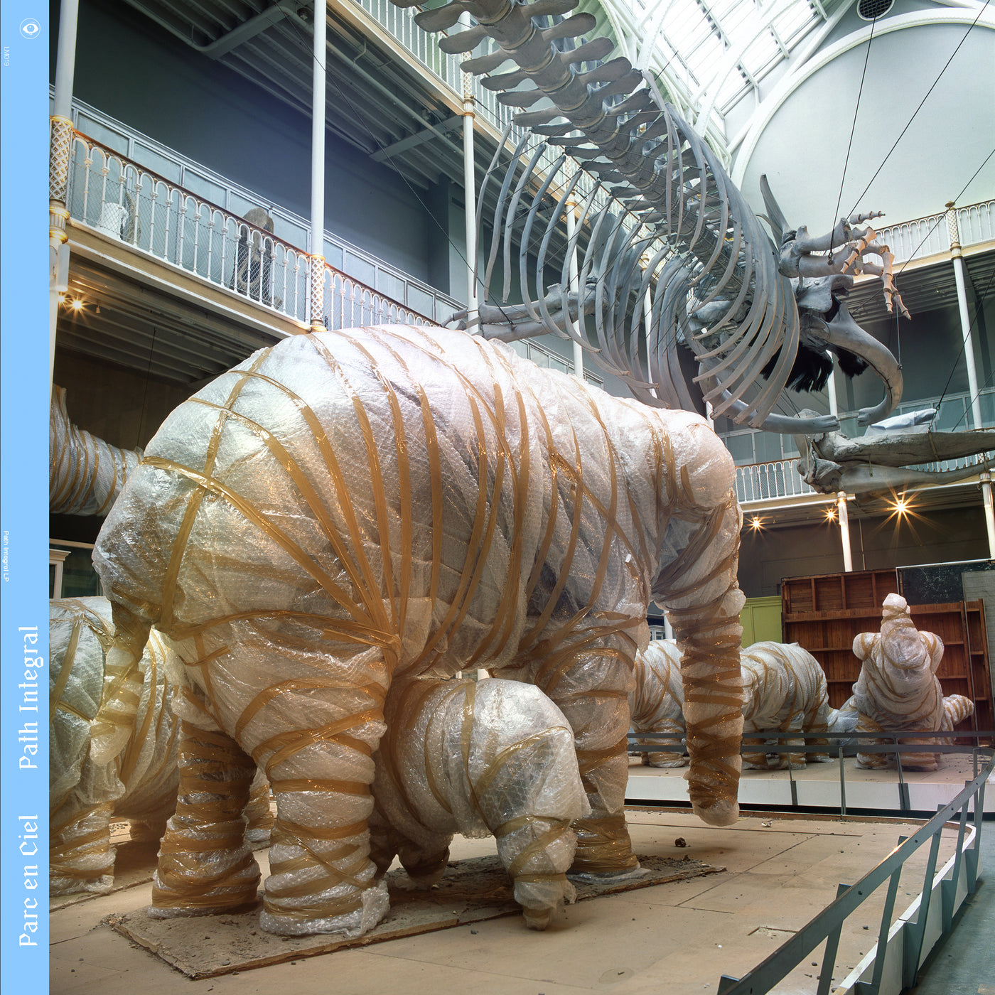 Path Integral (Vinyl)