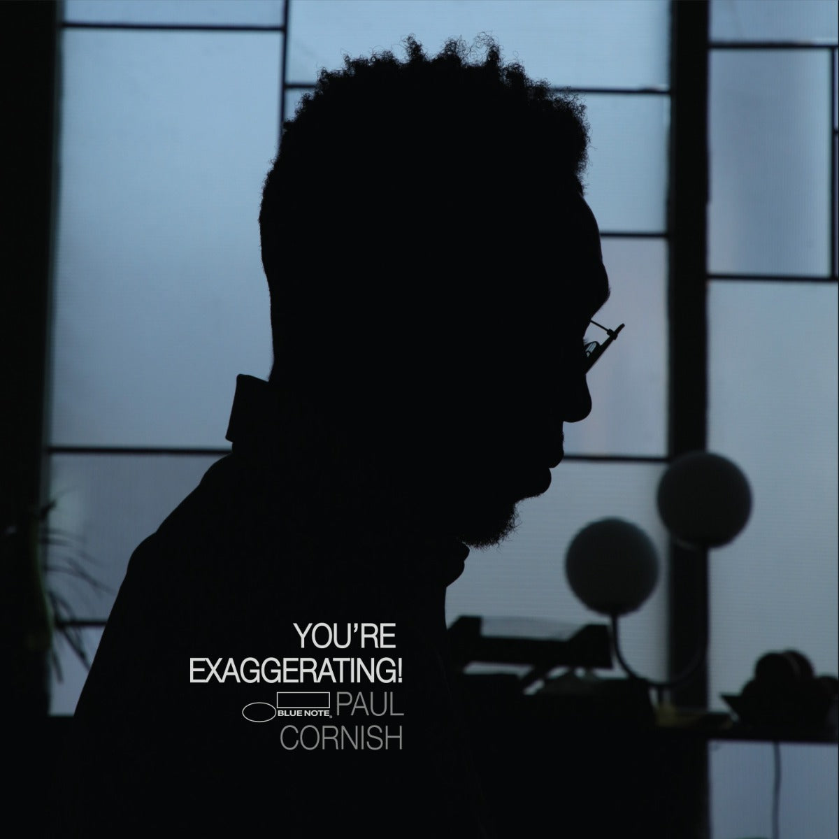 You'Re Exaggerating! [180G Lp] (Vinyl)