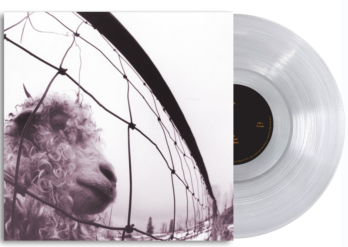 Vs. (Clear Vinyl) (Vinyl)