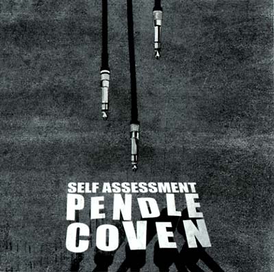 Self Assessment (CD)