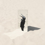The Imperfect Sea (Vinyl) - Apocalypse Vinyl