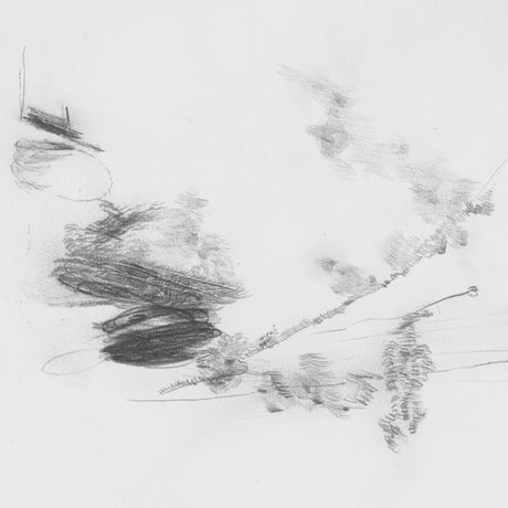 The Air Outside Feels Crazy Right Now (Vinyl)