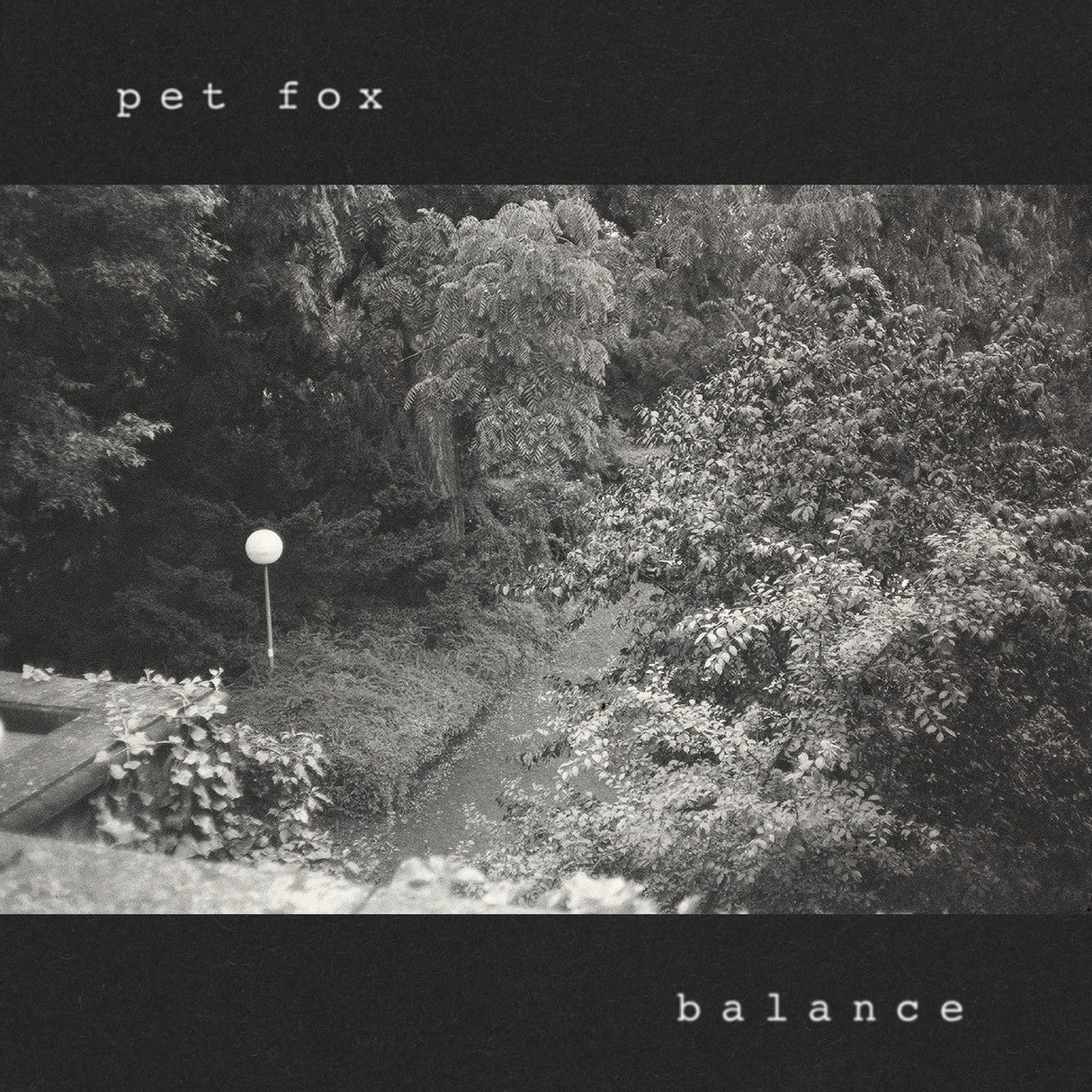 Pet Fox - Balance (Cobweb Colored Vinyl) [Vinyl]