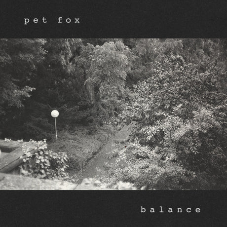 Pet Fox - Balance (Cobweb Colored Vinyl) [Vinyl]