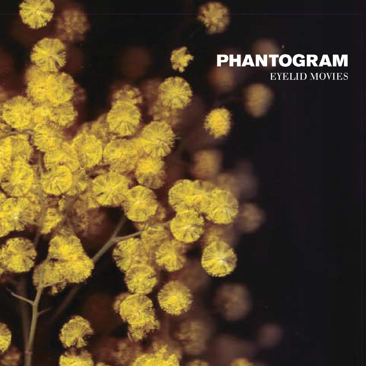 Phantogram Eyelid Movies (EDICIÓN AMPLIADA DE LUJO, VINILO AMARILLO CON REMOLINOS NEGROS) [Discos y LP]