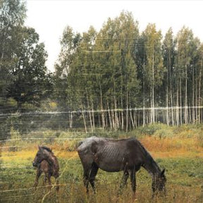 Old Pride (CD)