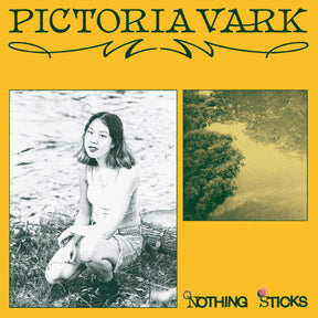 Nothing Sticks (Vinyl)