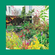 Unwishing Well (NASTURTIUM ORANGE VINYL) (Vinyl) - Apocalypse Vinyl
