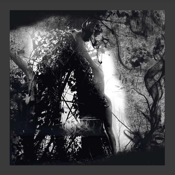 Tears Of A Rough Machine (Vinyl) - Apocalypse Vinyl