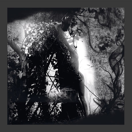 Tears Of A Rough Machine (Vinyl) - Apocalypse Vinyl