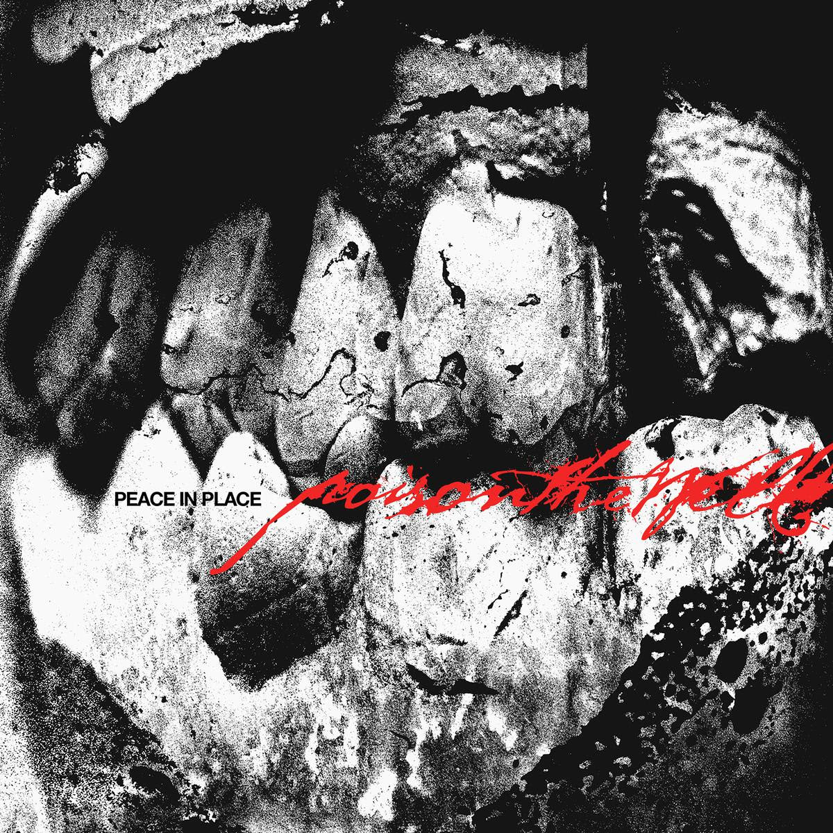 Peace In Place [CD]