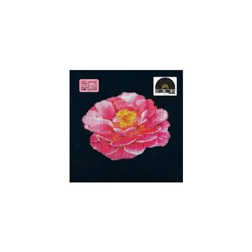 Post Malone Tribute To Nirvana (Rsd 4.12.25) (Vinyl)