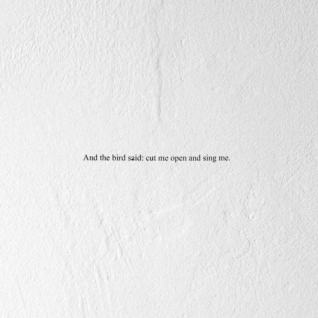 And The Bird Said: Cut Me Open And Sing Me (Indie Exclusive Clear Vinyl) [Vinyl]