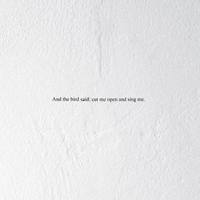 And The Bird Said: Cut Me Open And Sing Me (Indie Exclusive Clear Vinyl) [Vinyl]