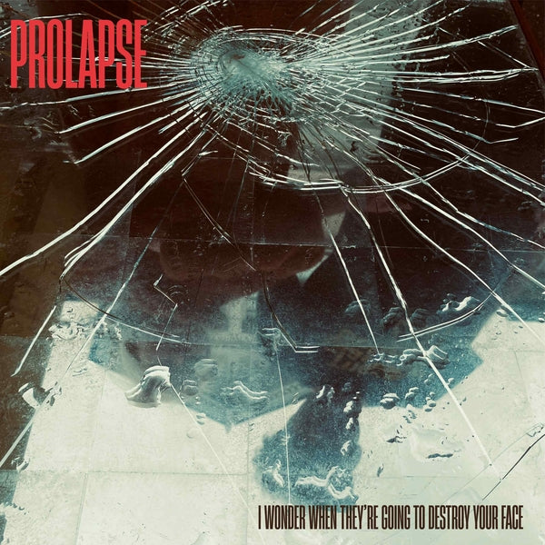 I Wonder When They'Re Going To Destroy Your Face [Cd] (CD)