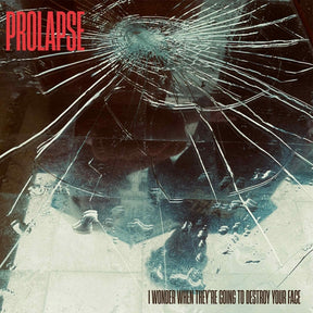 I Wonder When They'Re Going To Destroy Your Face [Lp] (Vinyl)