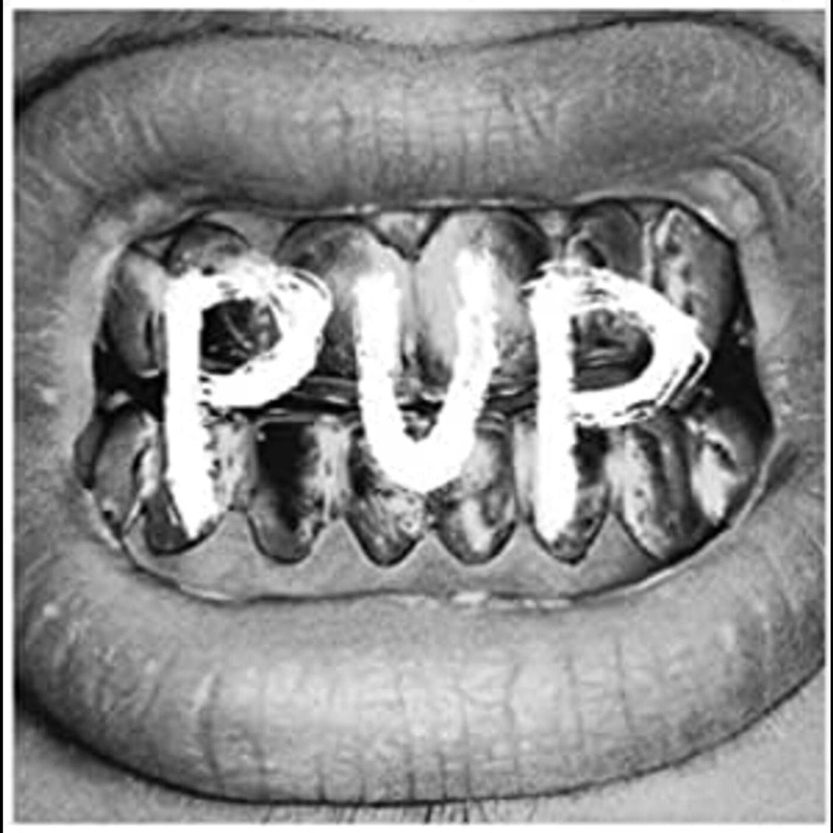 Pup (Vinyl)