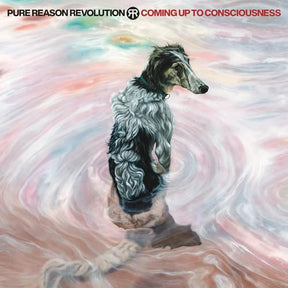 Coming Up To Consciousness (CD)