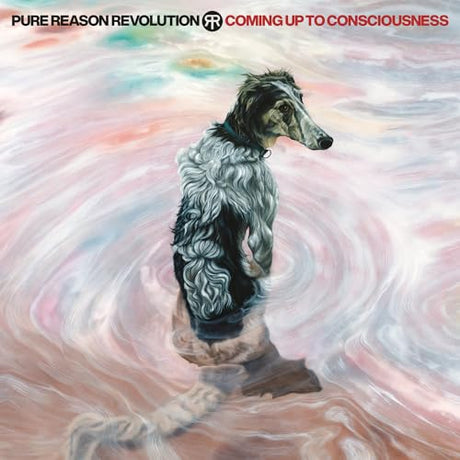 Coming Up To Consciousness (CD)