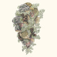 Monuments to Impermanence (CD)