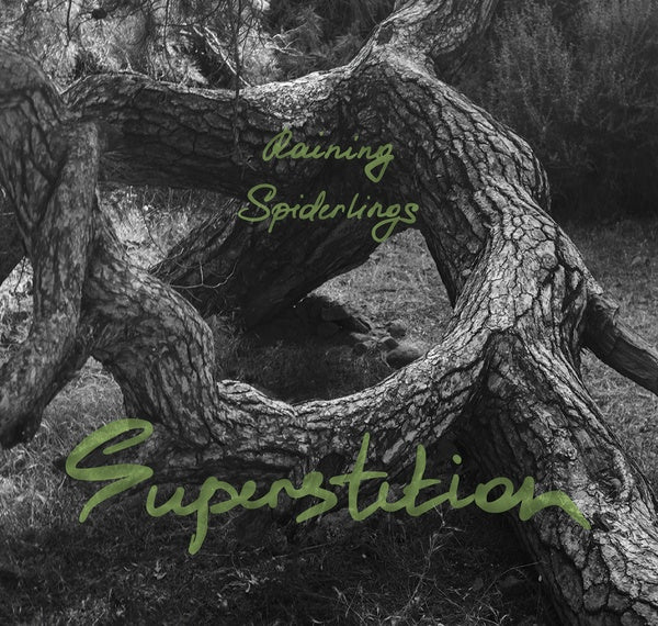 Superstition (CD)