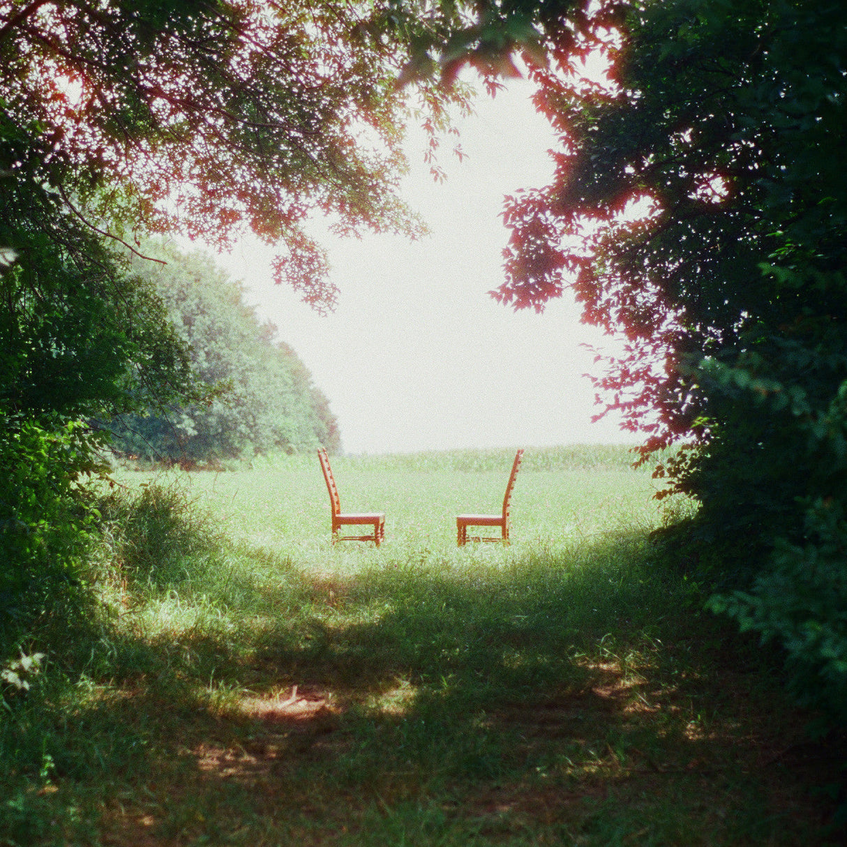 Singin' To An Empty Chair (Indie Exclusive, Green And Brown Marble Vinyl) [Vinyl]