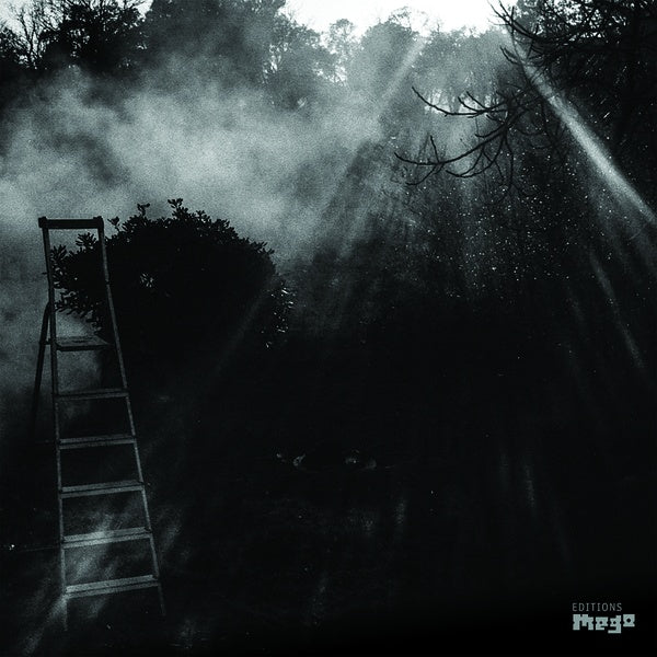 Animal Electrique (Vinyl) - Apocalypse Vinyl