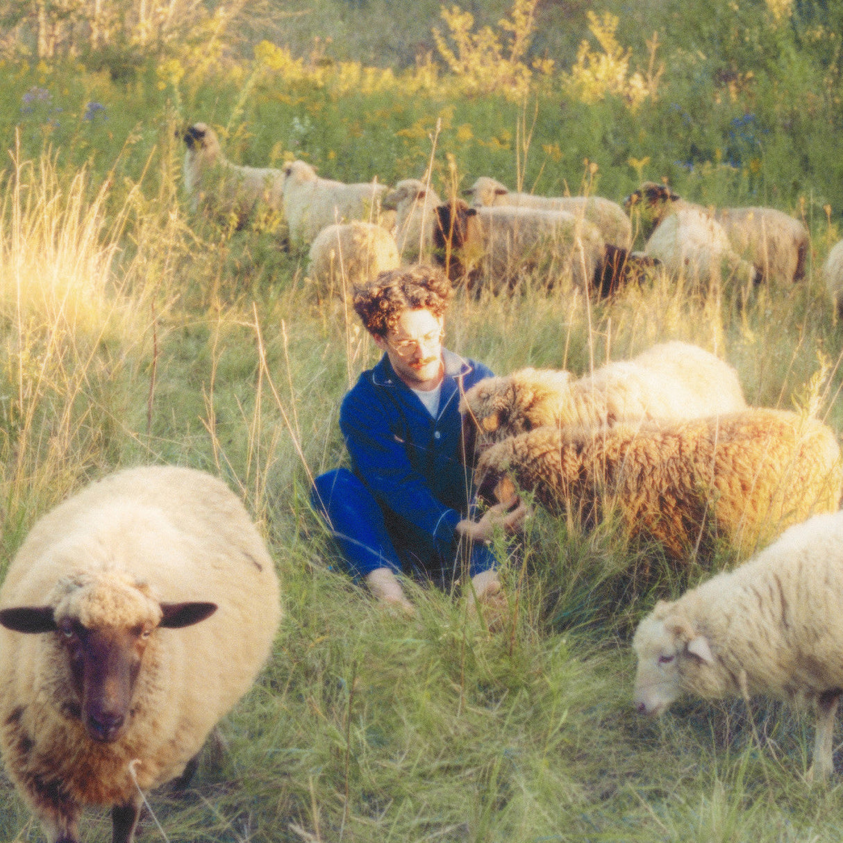 Themes For Dreams [Vinyl]