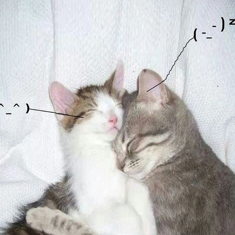 I Love You So! [Cassette]