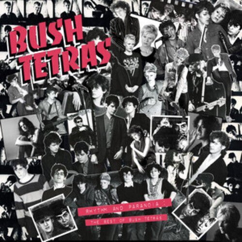 Rhythm & Paranoia: The Best of Bush Tetras (3LP, Book) (Vinyl)